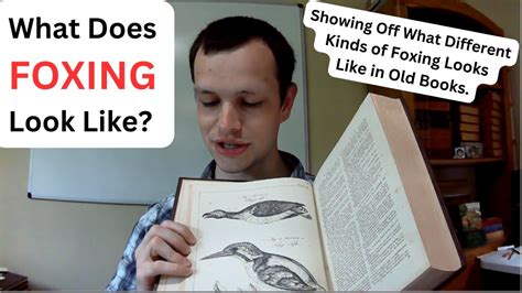 is foxing on books dangerous Are we losing our minds or gaining knowledge?